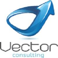 Vector Consulting